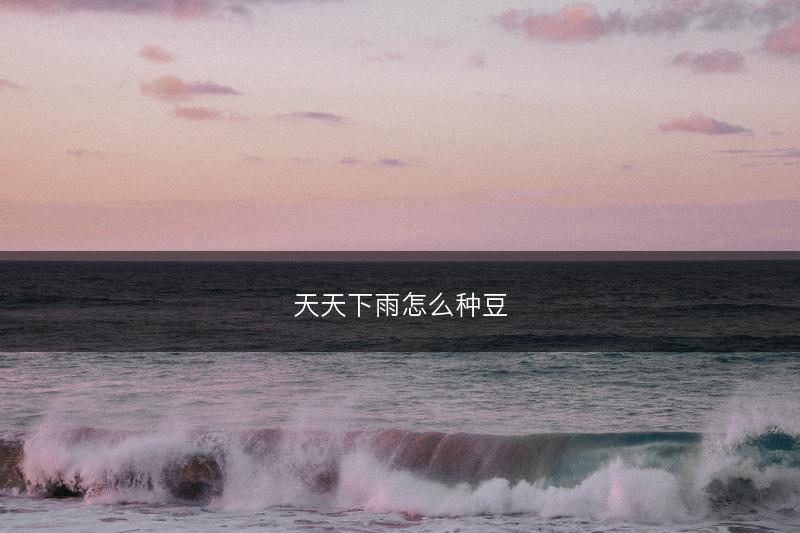 天天下雨怎么种豆(图1)