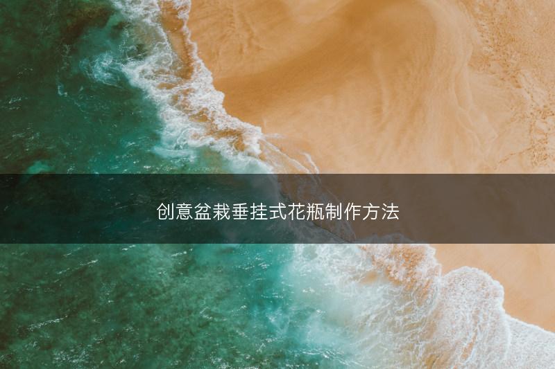 创意盆栽垂挂式花瓶制作方法(图1)