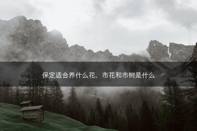 保定适合养什么花，市花和市树是什么(图1)