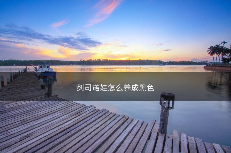 剑司诺娃怎么养成黑色(图1)