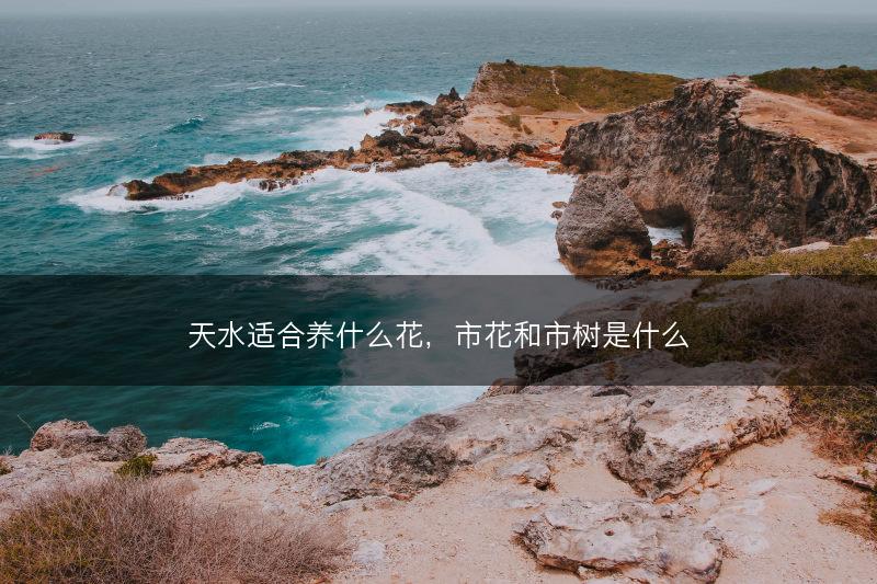 天水适合养什么花，市花和市树是什么(图1)
