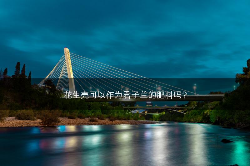 花生壳可以作为君子兰的肥料吗？(图1)