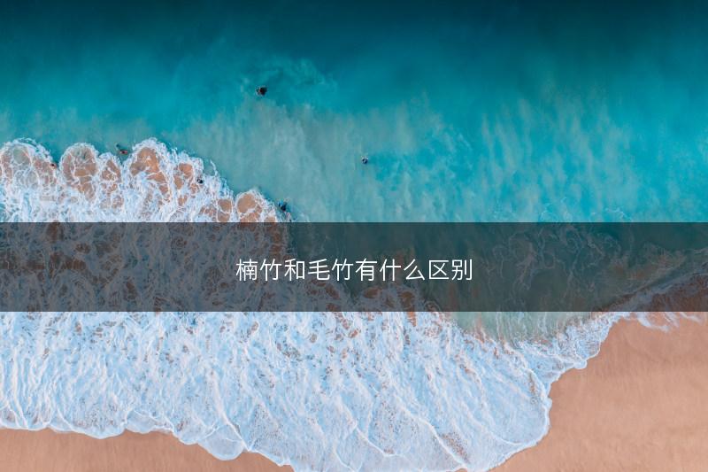 楠竹和毛竹有什么区别(图1)