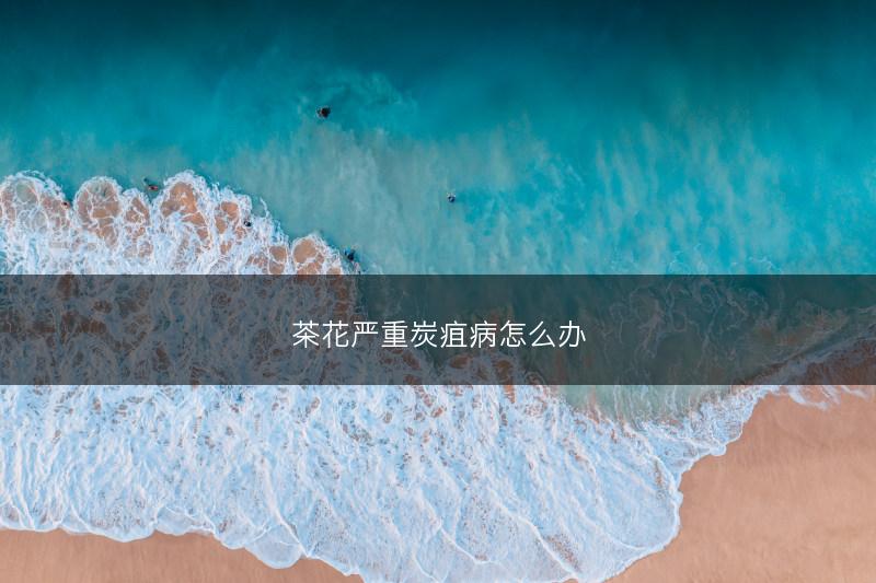 茶花严重炭疽病怎么办(图1)