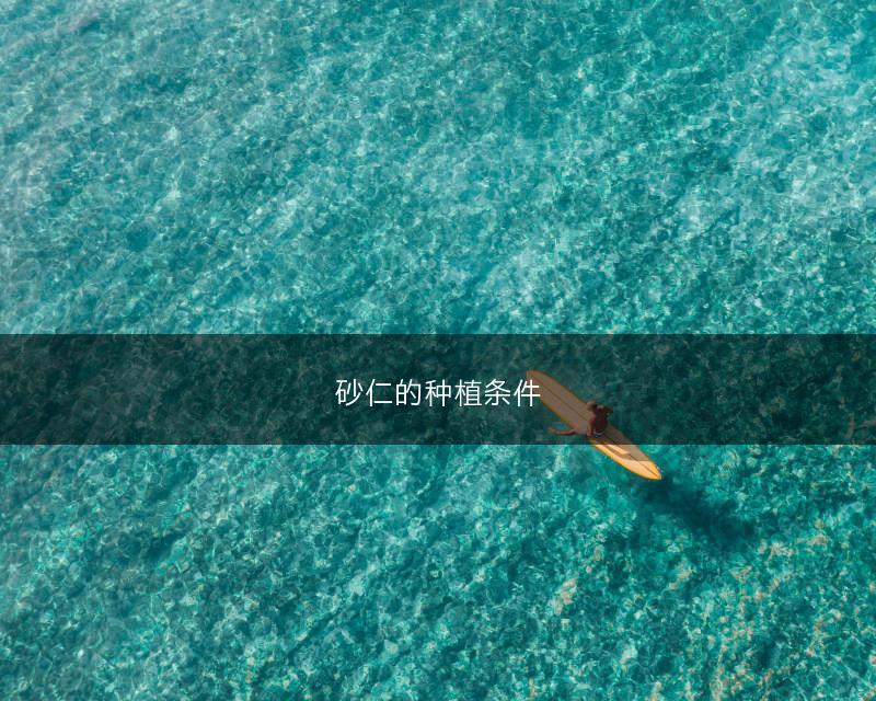 砂仁的种植条件(图1)