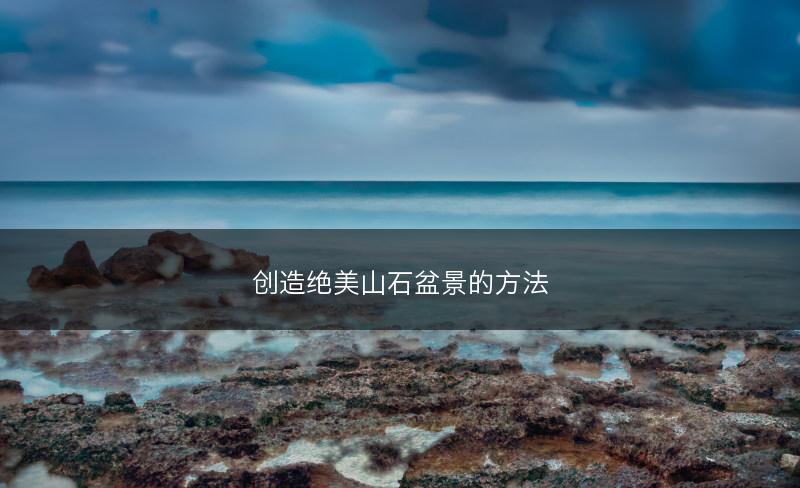 创造绝美山石盆景的方法(图1)