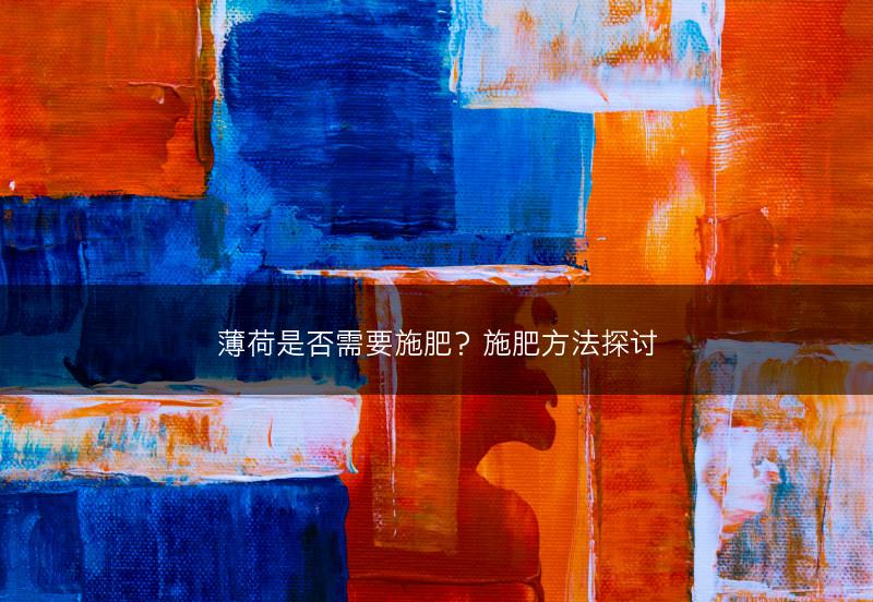 薄荷是否需要施肥？施肥方法探讨(图1)