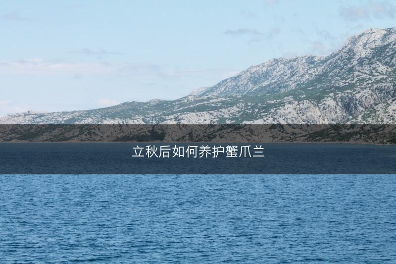立秋后如何养护蟹爪兰(图1)