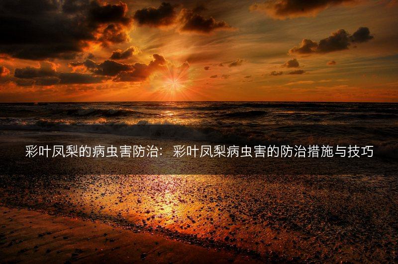 彩叶凤梨的病虫害防治：彩叶凤梨病虫害的防治措施与技巧(图1)