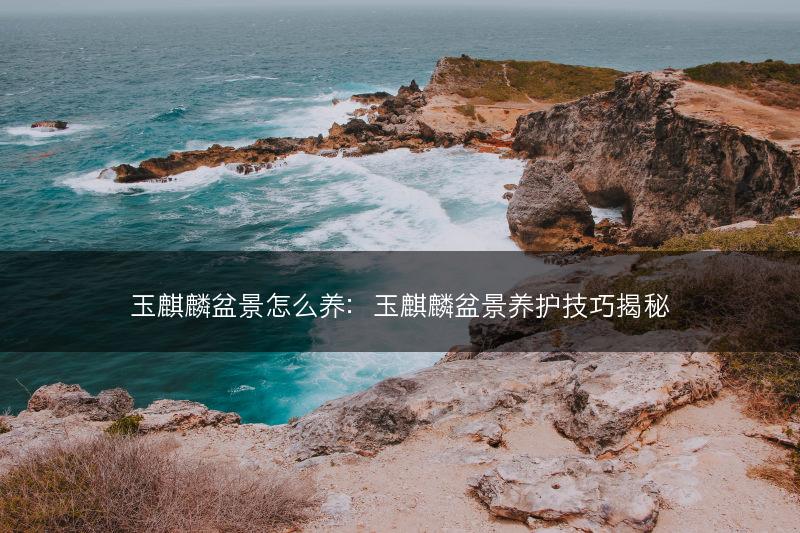玉麒麟盆景怎么养：玉麒麟盆景养护技巧揭秘(图1)