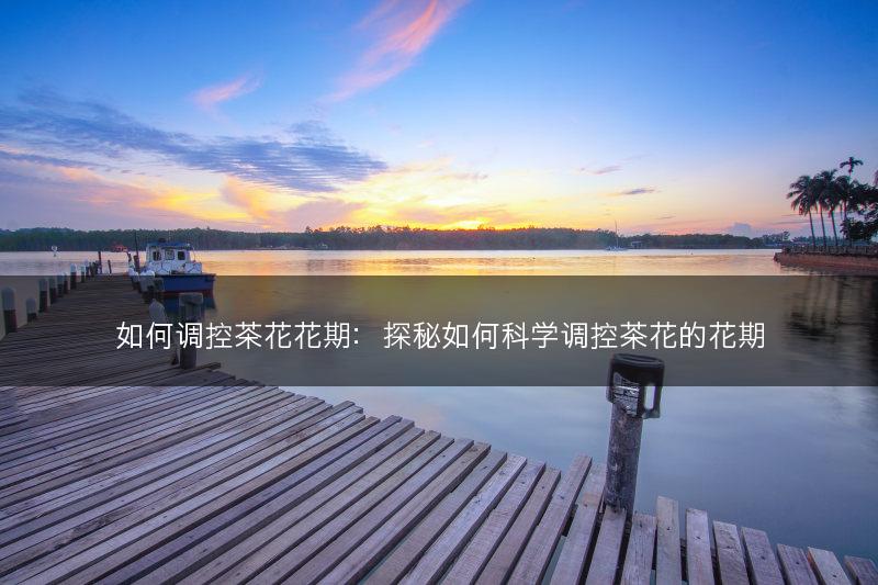 如何调控茶花花期：探秘如何科学调控茶花的花期(图1)