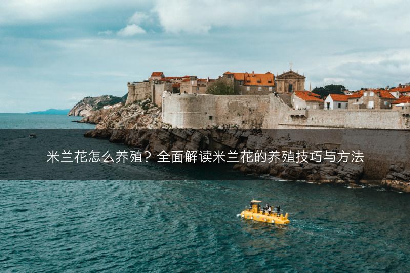 米兰花怎么养殖？全面解读米兰花的养殖技巧与方法(图1)