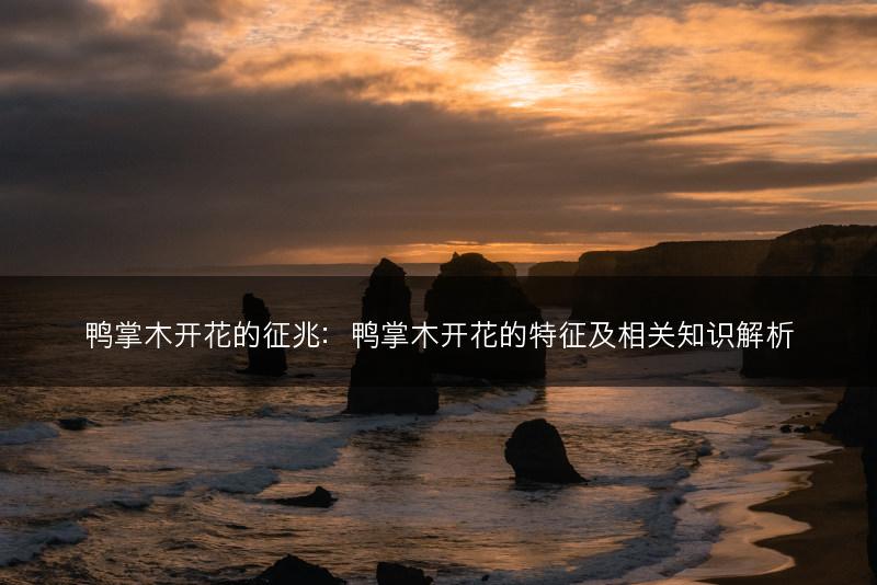 鸭掌木开花的征兆：鸭掌木开花的特征及相关知识解析(图1)