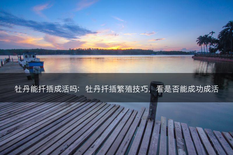 牡丹能扦插成活吗：牡丹扦插繁殖技巧，看是否能成功成活(图1)