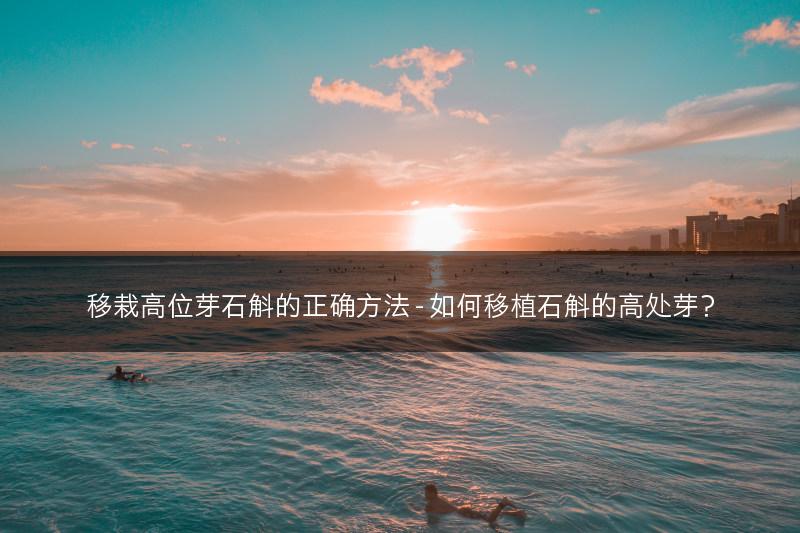 移栽高位芽石斛的正确方法 - 如何移植石斛的高处芽？(图1)