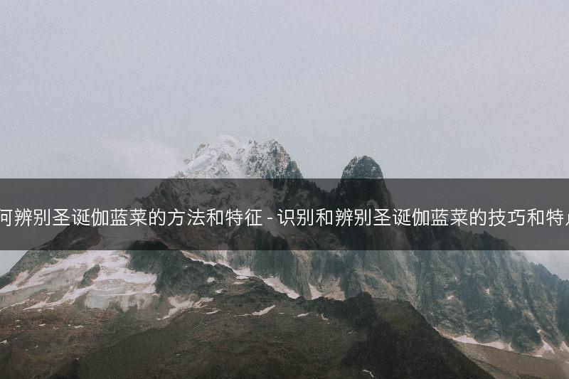如何辨别圣诞伽蓝菜的方法和特征 - 识别和辨别圣诞伽蓝菜的技巧和特点？(图1)