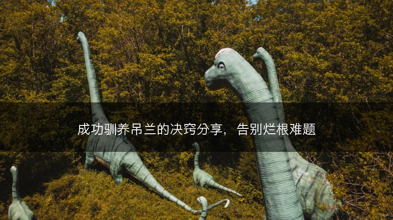 成功驯养吊兰的决窍分享，告别烂根难题(图1)