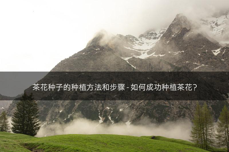 茶花种子的种植方法和步骤 - 如何成功种植茶花？(图1)