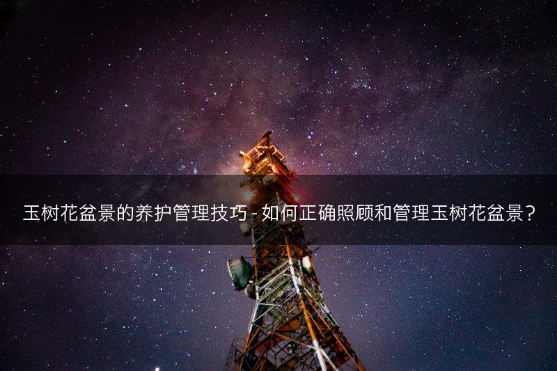 玉树花盆景的养护管理技巧 - 如何正确照顾和管理玉树花盆景？(图1)