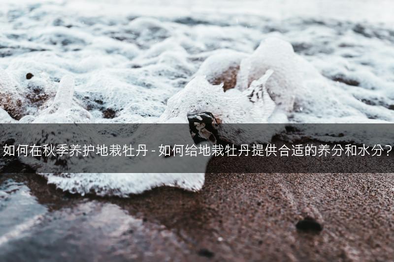 如何在秋季养护地栽牡丹 - 如何给地栽牡丹提供合适的养分和水分？(图1)