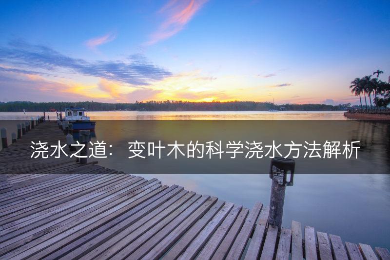 浇水之道：变叶木的科学浇水方法解析(图1)