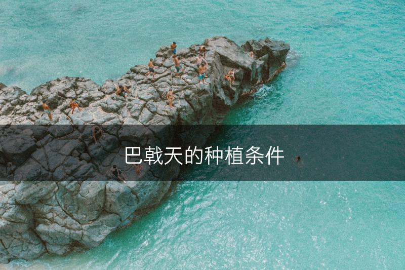 巴戟天的种植条件(图1)