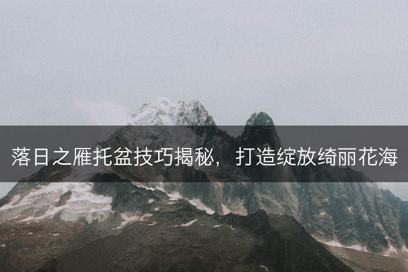 落日之雁托盆技巧揭秘，打造绽放绮丽花海(图1)