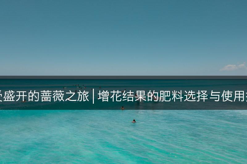 享受盛开的蔷薇之旅 | 增花结果的肥料选择与使用技巧(图1)