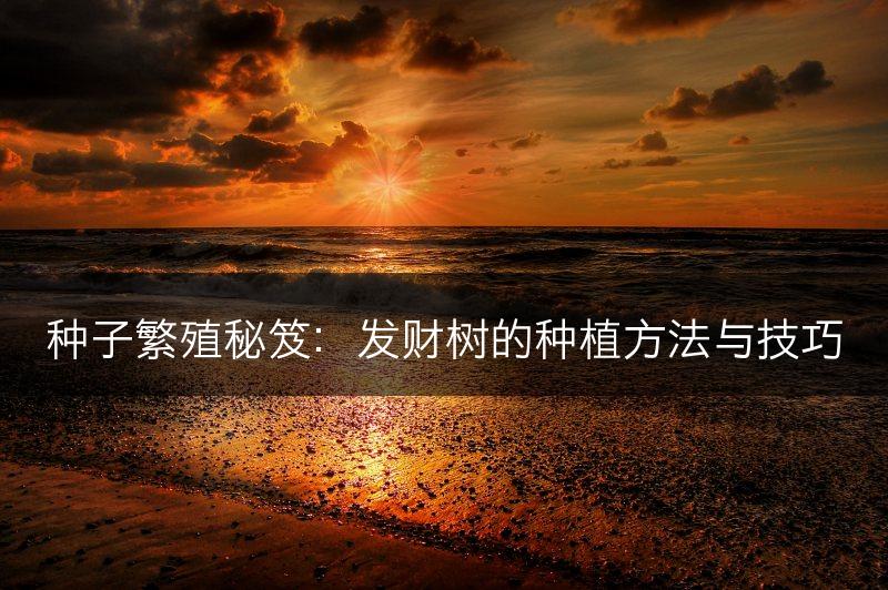 种子繁殖秘笈：发财树的种植方法与技巧(图1)
