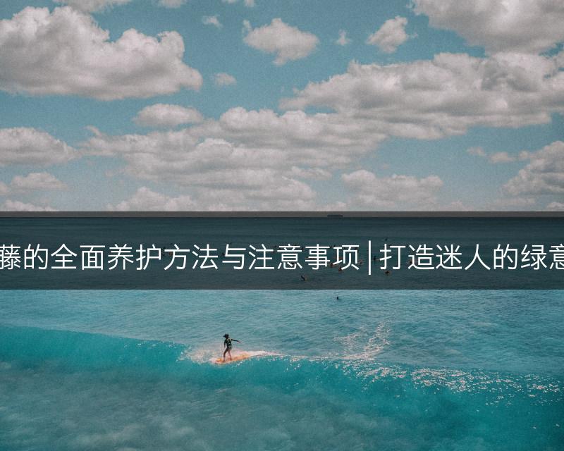 常春藤的全面养护方法与注意事项 | 打造迷人的绿意空间(图1)