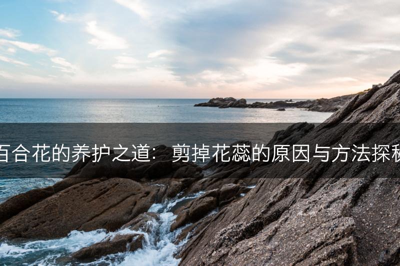 百合花的养护之道：剪掉花蕊的原因与方法探秘(图1)