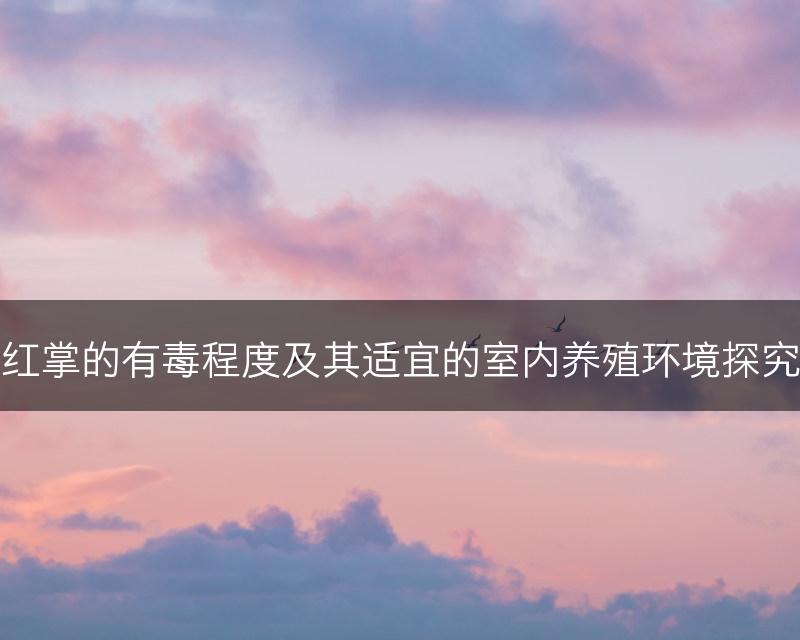 红掌的有毒程度及其适宜的室内养殖环境探究(图1)