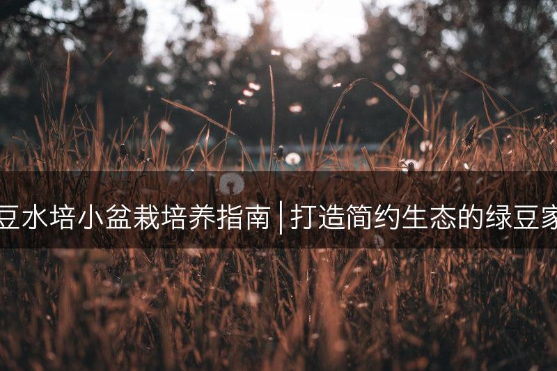 绿豆水培小盆栽培养指南 | 打造简约生态的绿豆家园(图1)