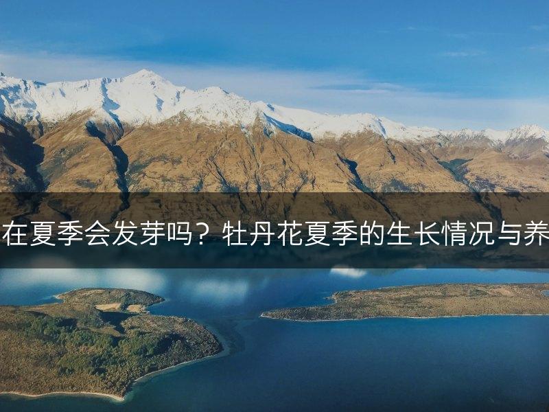 牡丹花在夏季会发芽吗?牡丹花夏季的生长情况与养护要点(图1) 牡丹花在夏季会发芽吗?牡丹花夏季的生长情况与养护要点(图1)