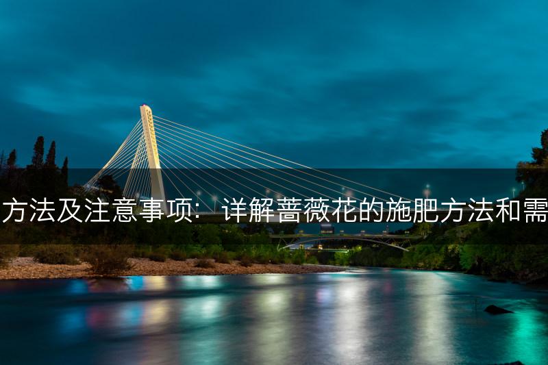 蔷薇花施肥方法及注意事项：详解蔷薇花的施肥方法和需注意的事项(图1)