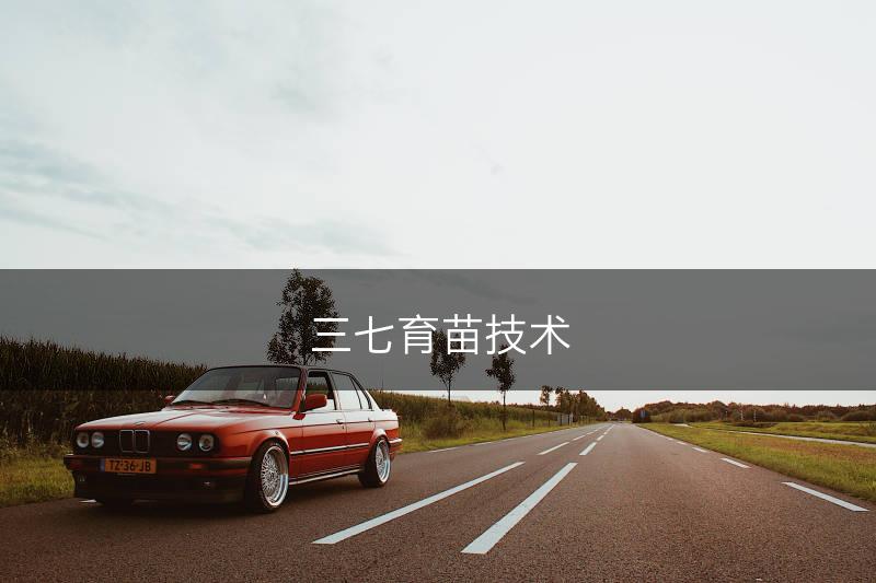 三七育苗技术(图1)