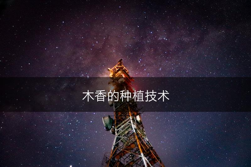 木香的种植技术(图1)