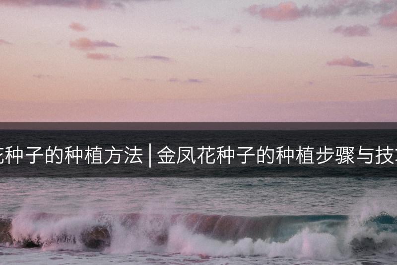 金凤花种子的种植方法 | 金凤花种子的种植步骤与技巧详解(图1)
