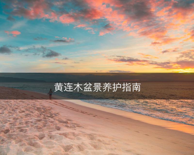 黄连木盆景养护指南(图1)