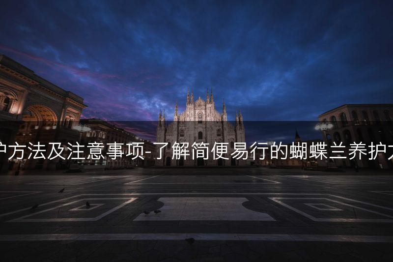 蝴蝶兰简易养护方法及注意事项-了解简便易行的蝴蝶兰养护方法和注意事项(图1)