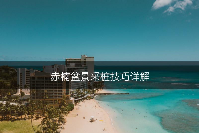 赤楠盆景采桩技巧详解(图1)