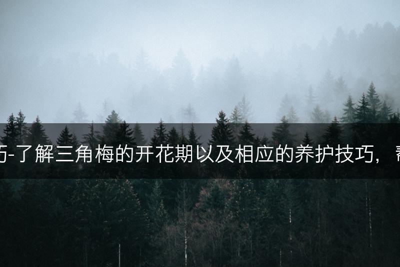 三角梅的开花期及养护技巧-了解三角梅的开花期以及相应的养护技巧，帮助其开出更多鲜艳的花朵(图1)