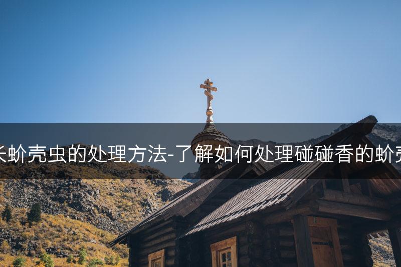 碰碰香长蚧壳虫的处理方法-了解如何处理碰碰香的蚧壳虫问题(图1)