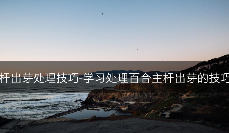 百合主杆出芽处理技巧-学习处理百合主杆出芽的技巧和方法(图1)