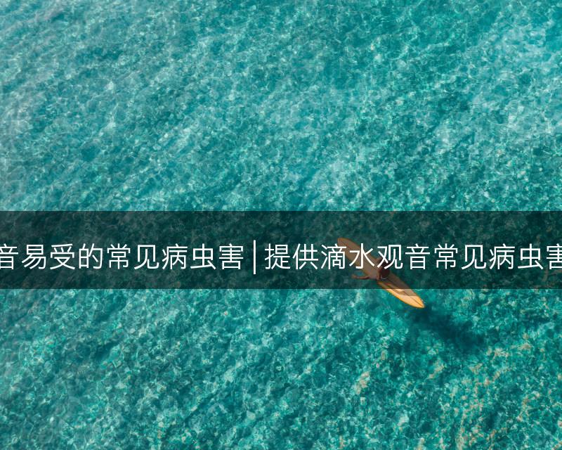 解析滴水观音易受的常见病虫害 | 提供滴水观音常见病虫害的防治技巧(图1)