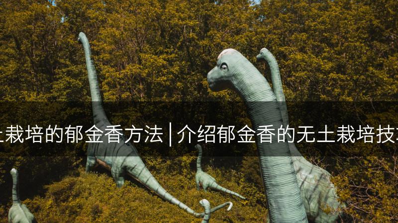 体验无土栽培的郁金香方法 | 介绍郁金香的无土栽培技巧及方法(图1)