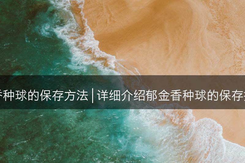 探究郁金香种球的保存方法 | 详细介绍郁金香种球的保存技巧与方法(图1)