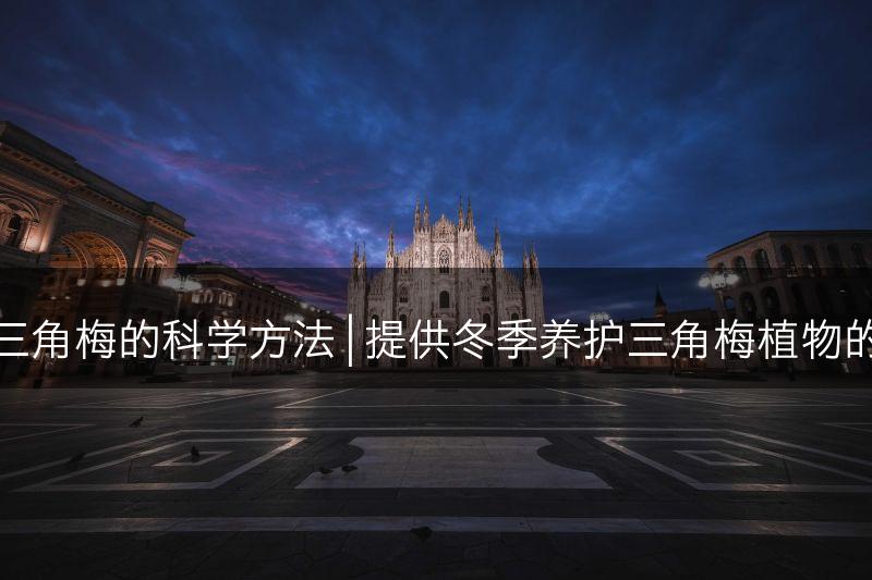 冬季养护三角梅的科学方法 | 提供冬季养护三角梅植物的专业建议(图1)