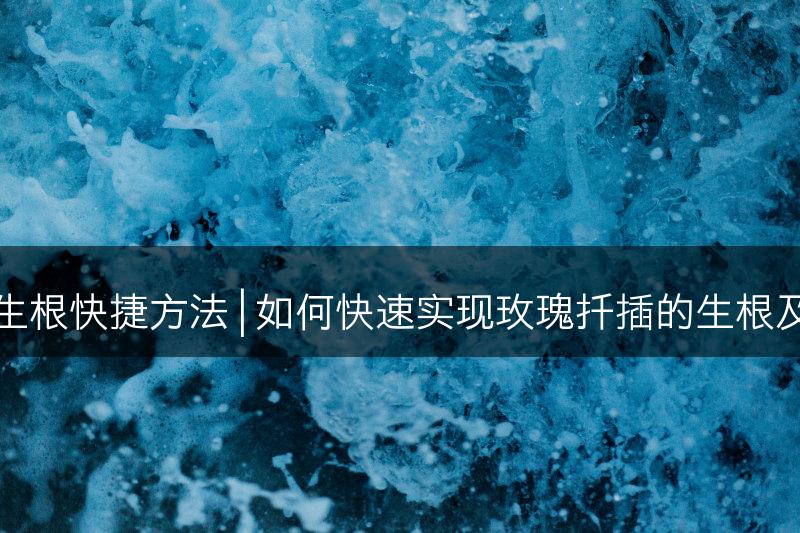 玫瑰扦插生根快捷方法 | 如何快速实现玫瑰扦插的生根及技巧分享(图1)