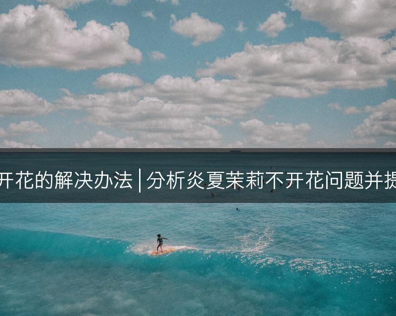 炎夏茉莉不开花的解决办法 | 分析炎夏茉莉不开花问题并提供解决技巧(图1)